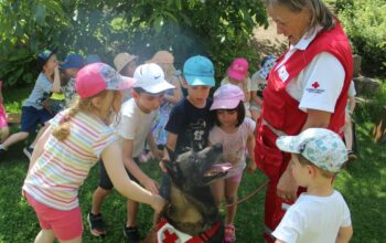 Suchhund streicheln Wa